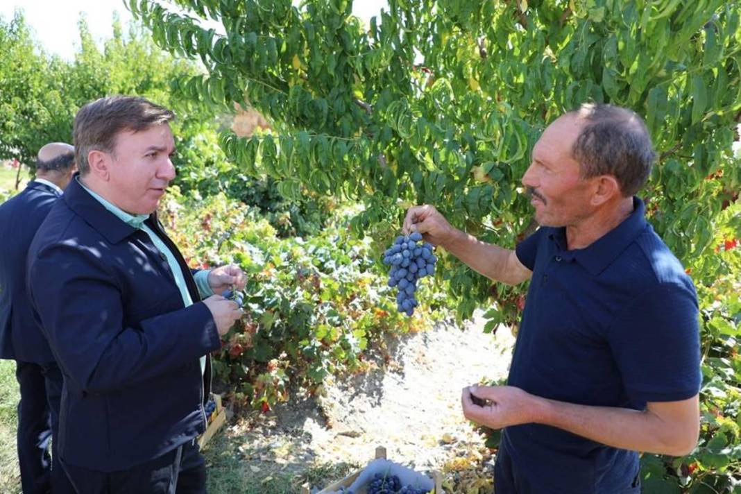 Saç ve cilt sağlığını koruyor, gözlere iyi geliyor! Türkiye'nin tescilli meyvesi kapış kapış satılıyor, kilosu 55 TL 13